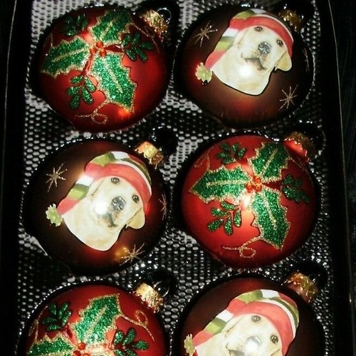 Glass Pet Christmas  Ornaments  (8) - Picture 1 of 4