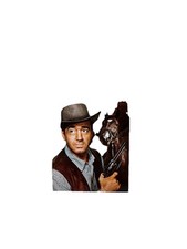 The Restless Gun (DVD, 2007, 3-Disc Set) – Classic Western TV Series, Collector