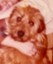 rdoglife7