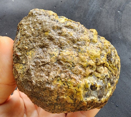 Ópalo dendrítico áspero, ópalo dendrítico amarillo de 6,41 oz (182 gr), ópalo coleccionable - Imagen 10 de 16