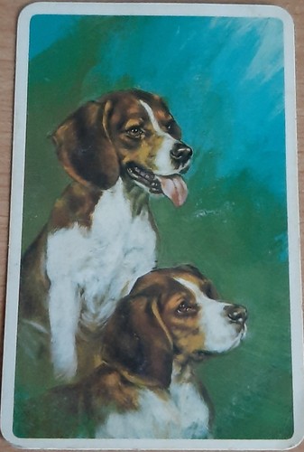 70s Blank Back Swap Card, Dogs , White Bordered Card