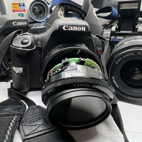 Digital Camera Lot DSLR Canon Nikon Olympus Lenses and Bodies UNTESTED FOR PARTS - Picture 7 of 21