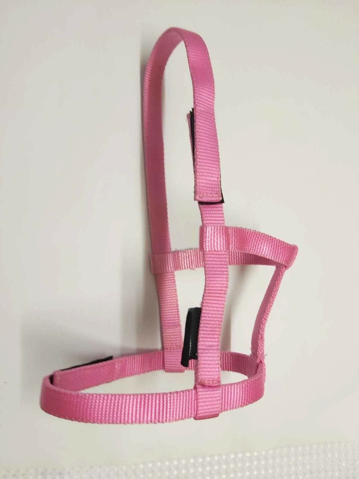 Field Safe Foal Shetland Halters Quick Release Detachabl Breakaway