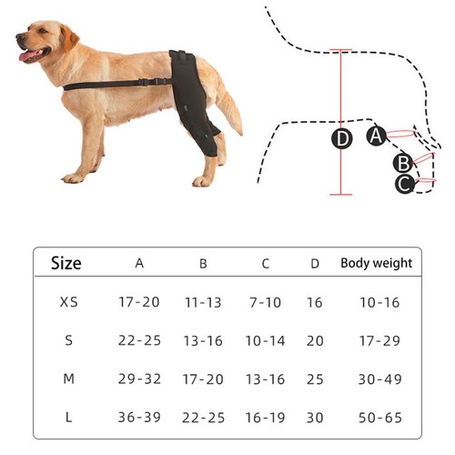 Dog Knee Brace for Torn ACL, Hip Dysplasia, Arthritis Pain Relief Osteoarthriti - Picture 4 of 13