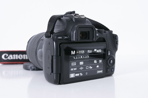 Canon EOS 250D + EF-S 18-55mm f/3.5-5.6 III - Imagen 4 de 11