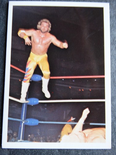 1988 Wonderama NWA Wrestling Cards Complete Your Set U Pick From List 201-343 - Picture 65 of 354