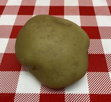 Fake Play Food Replica Fun For Tikes Vegetable Tater POTATO Stage Prop MTC -PT19