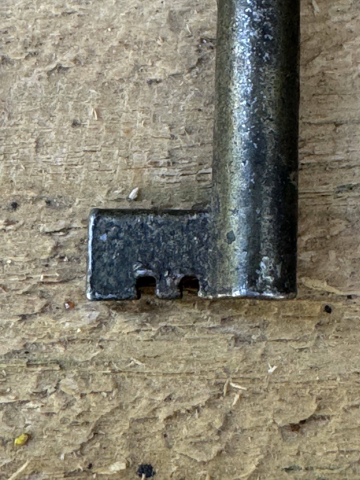 Picture 6 of 6