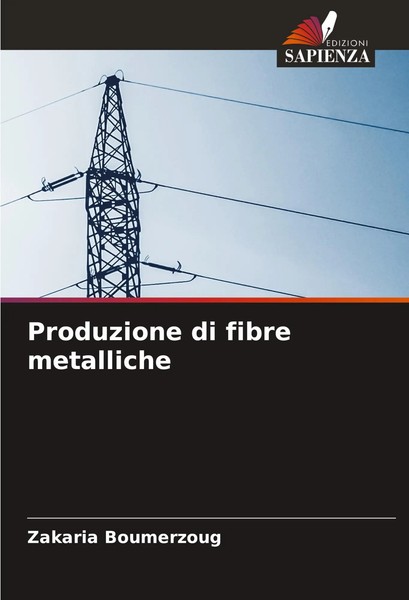 Produzione Di Fibre Metalliche Zakaria Boumerzoug Taschenbuch Italienisch 2025-image