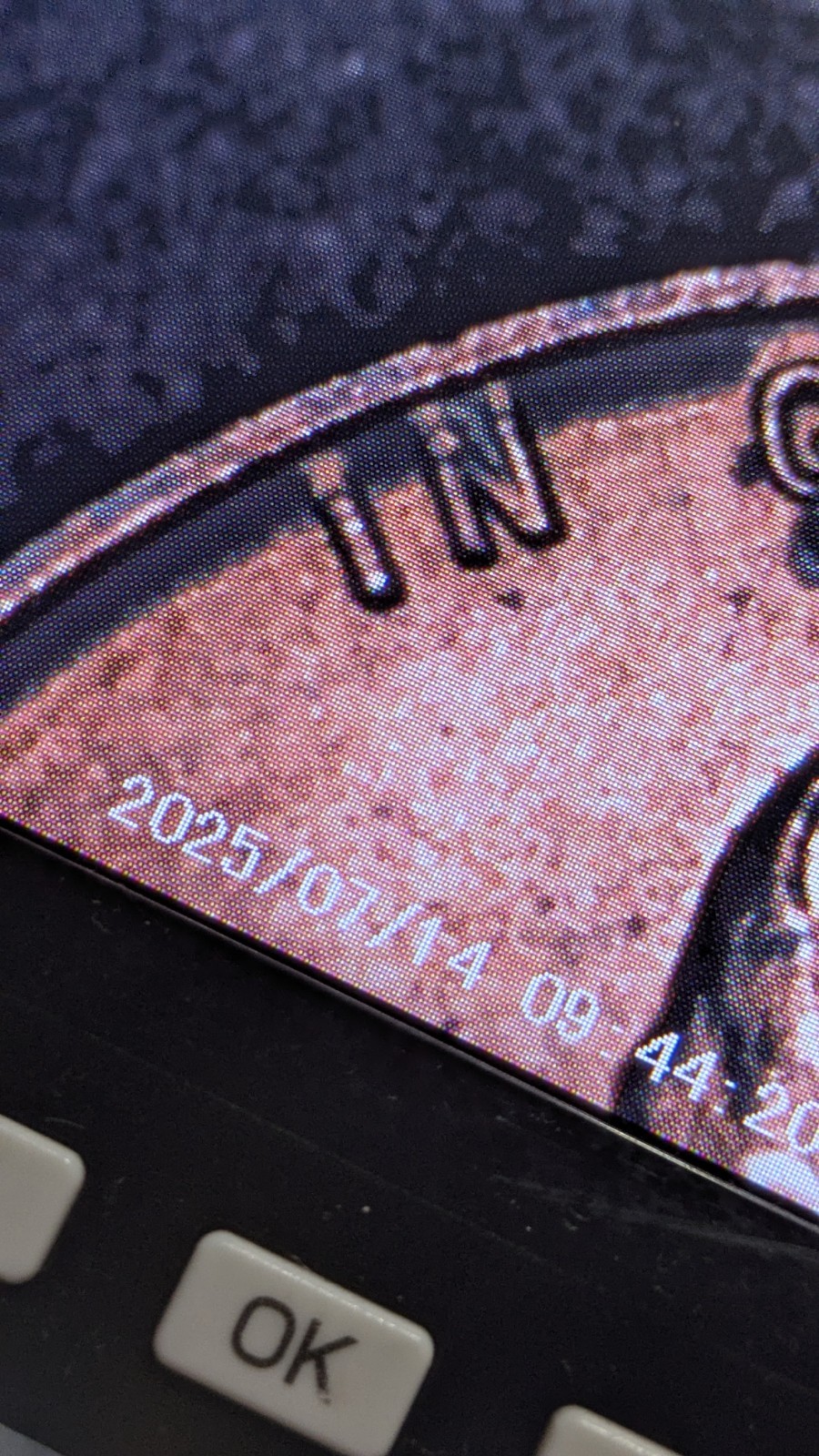 Picture 22 of 23