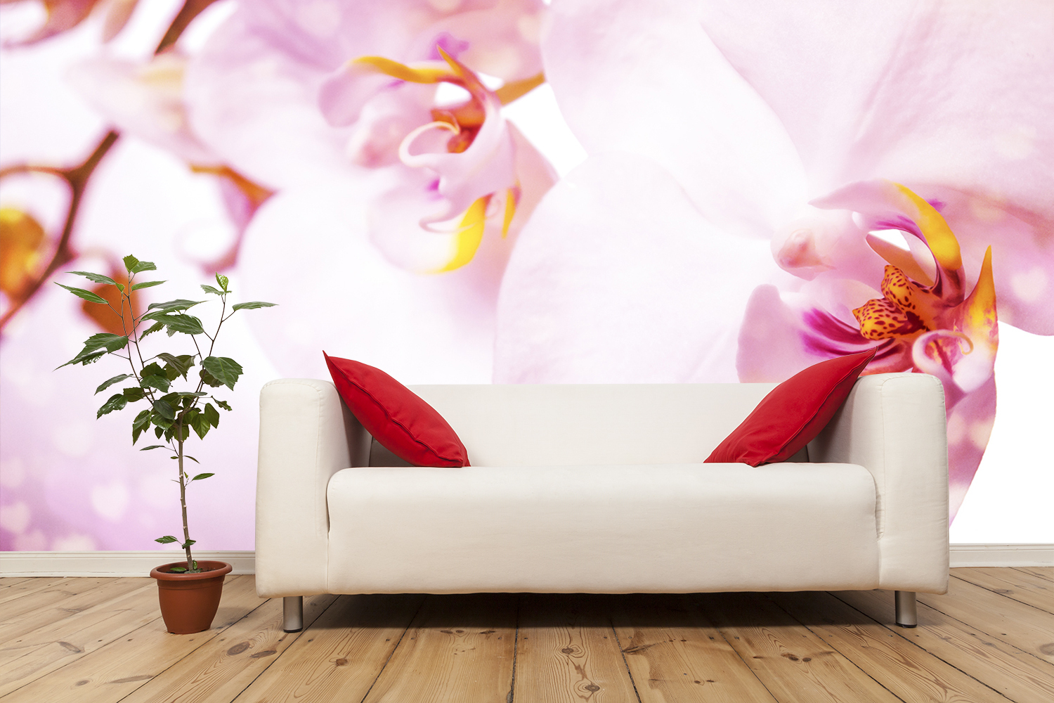 Fototapete Fototapete Fototapete selbstklebend Orchidee Blume - Made in Germany - Wandtapete Tapete da6e51 Fototapete Fototapete Fototapete selbstklebend Orchidee Blume - Made in Germany - Wandtapete Tapete da6e51