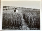 Postcard: Pioneer mother & child standing in wheat field near Newcastle, WY — photo 1