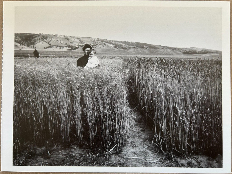Postcard: Pioneer mother & child standing in wheat field near Newcastle, WY