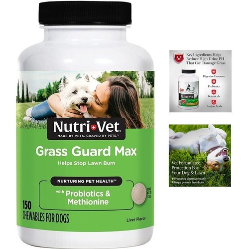 Nutri-Vet Grass Guard Chewables for Dogs Prevent Lawn Burn from Urine 150 Count - Picture 1 of 7