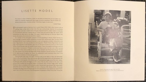 LISETTE MODEL Daring to See GETTY MUSEUM 1991 Exhibition Catalog JOAN G. DOOLEY - Picture 4 of 7