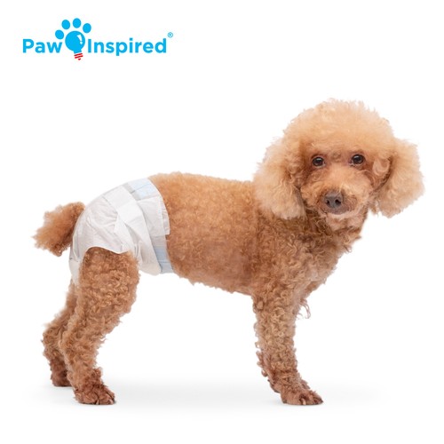Paw Inspired Hundewindeln weiblich Einweg, Katzenwindeln, Hunde Welpen in HeatXS-XL - Bild 15 von 40