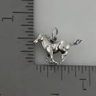 Picture 3 of 3