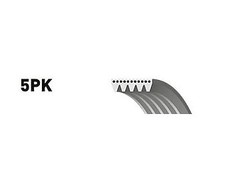 V-RIBBED FAN BELT FOR NISSAN INTERSTAR 5PK1123 OEM QUALITY