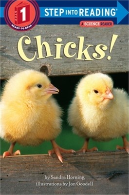 Chicks! (Paperback or Softback)