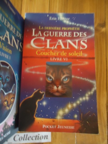 LOT 6 LIVRE ** LA GUERRE DES CLANS POUVOIR ETOILES CYCLE 3 1 à 5 + 6 du cycle 2 - Foto 2 di 6