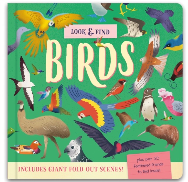 Look & Find Insects and Minibeasts by Laura Chamberlain (Hardback Book) - Image 5