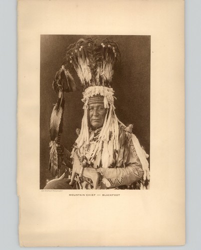 Wanamaker/Dixon "Mountain Chief-Blackfoot" 1913 Photogravure The Vanishing Race - Picture 1 of 2