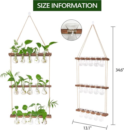 XXXFLOWER Wall Hanging Propagation Station with Brown-15 Bulb Vase, Clear  - Bild 2 von 7