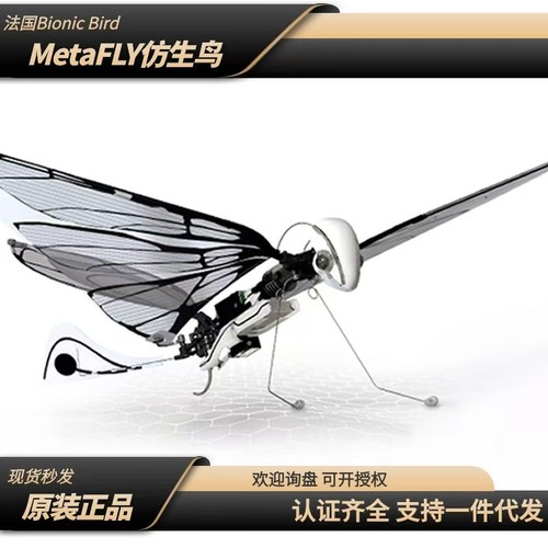 Juguete RC Insecto Volador Inteligente Biónico Francés - Mini Drone Mascota con Control - Imagen 4 de 6