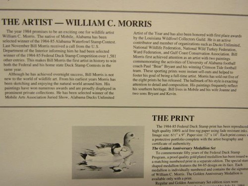 1984-85 Federal Duck Stamp Print framed 50th Golden Medallion Limited Ed SIGNED - Picture 6 of 10