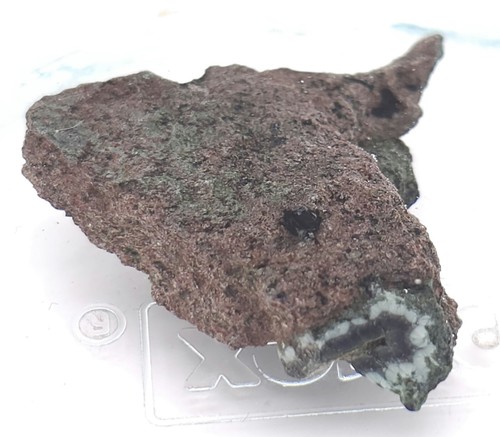 Keweenaw Chlorastrolite Greenstones In Host Rocks & Minerals Central Mine .32oz - Picture 8 of 16