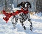 8x10 Matte Print_ German Shorthaired Pointer Running in Snow