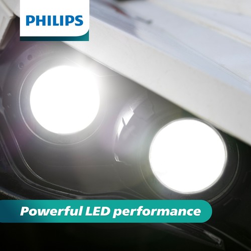 Philips UltinonSport LED White H10 Two Bulbs Fog Light Replacement Plug Play Fit - Picture 13 of 20