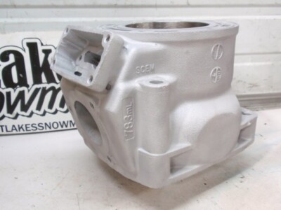 2001 2002 Arctic Cat 800 88J1 Cylinder Twin Snowmobile Engine New Reman No Core!