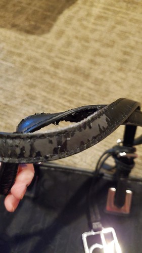 Calvin Klein Black purse - Picture 6 of 8