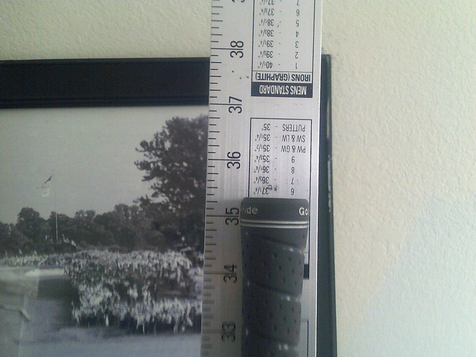 Picture 8 of 8