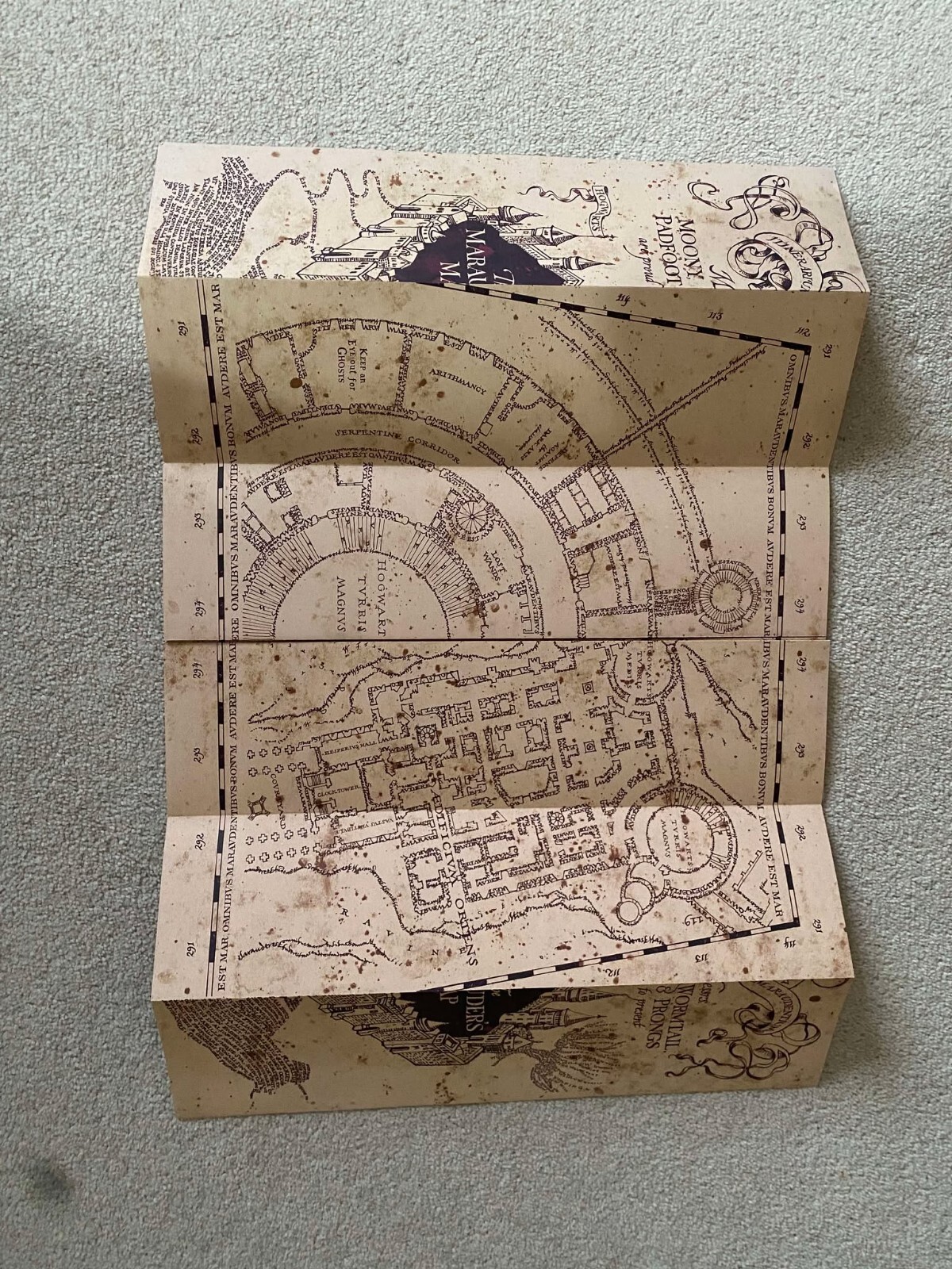 Picture 4 of 4