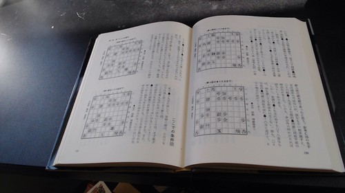 The final stage of lightspeed Tankobon - Japanese Edition 光速の終盤術 - Picture 10 of 12