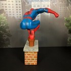 Picture 19 of 24