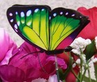 Garden Decor Flower Pot Plant Pick Stake Colorful Butterfly NEW 12“ tall #15
