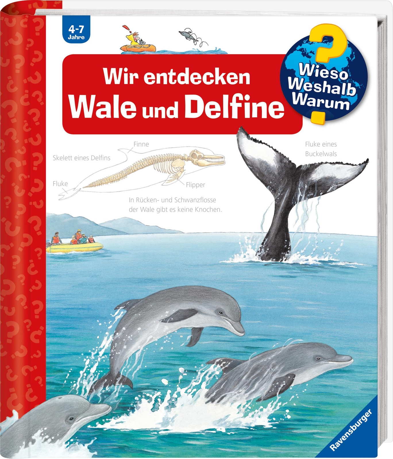 Thumbnail - Wieso? Weshalb? Warum?, Band 41: Wir Entdecken Wale Und Delfine, Doris