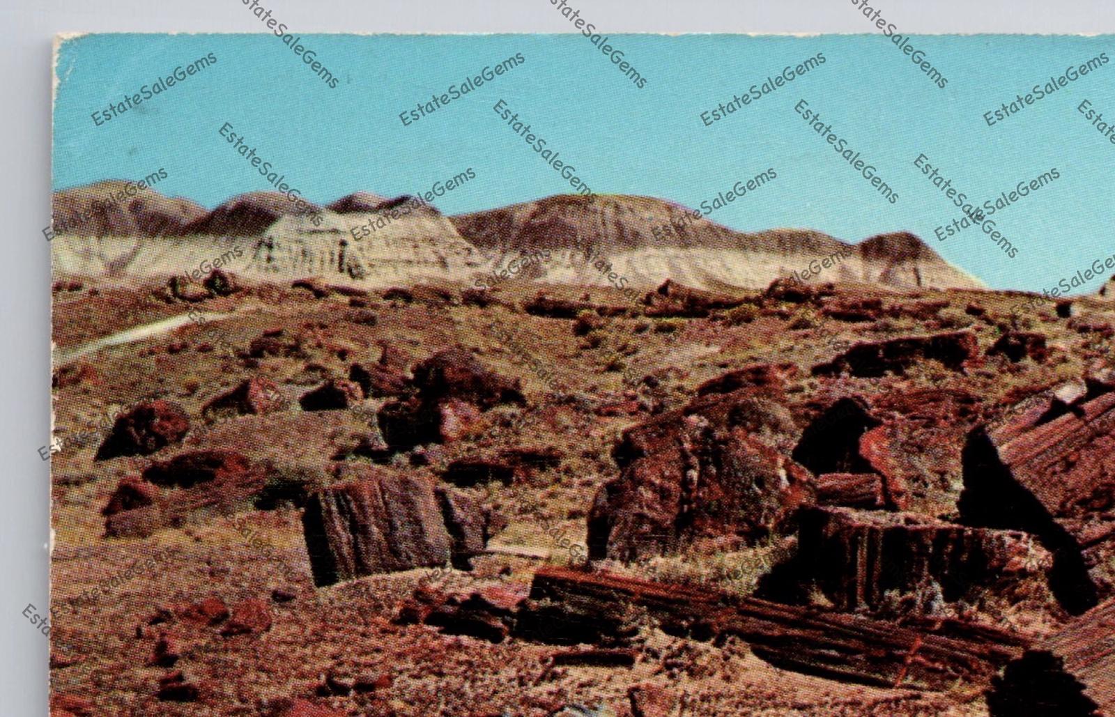 Picture 8 of 14