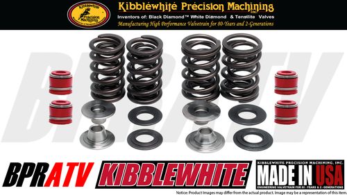 Honda TRX450R TRX 450R 2006+ croquetas blancas titanio válvulas resortes kit de sellado de resorte - Imagen 9 de 24