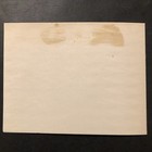 Picture 5 of 5