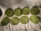 VINTAGE 8-PIECE ANCHOR HOCKING SORENO AVOCADO GREEN 10 INCH PLATES ALL PERFECT