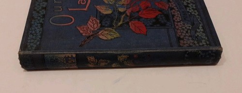 Our Laddie by Lizzie Joyce Tomlinson - Vintage Hardback - James Nisbet - Foto 17 di 17