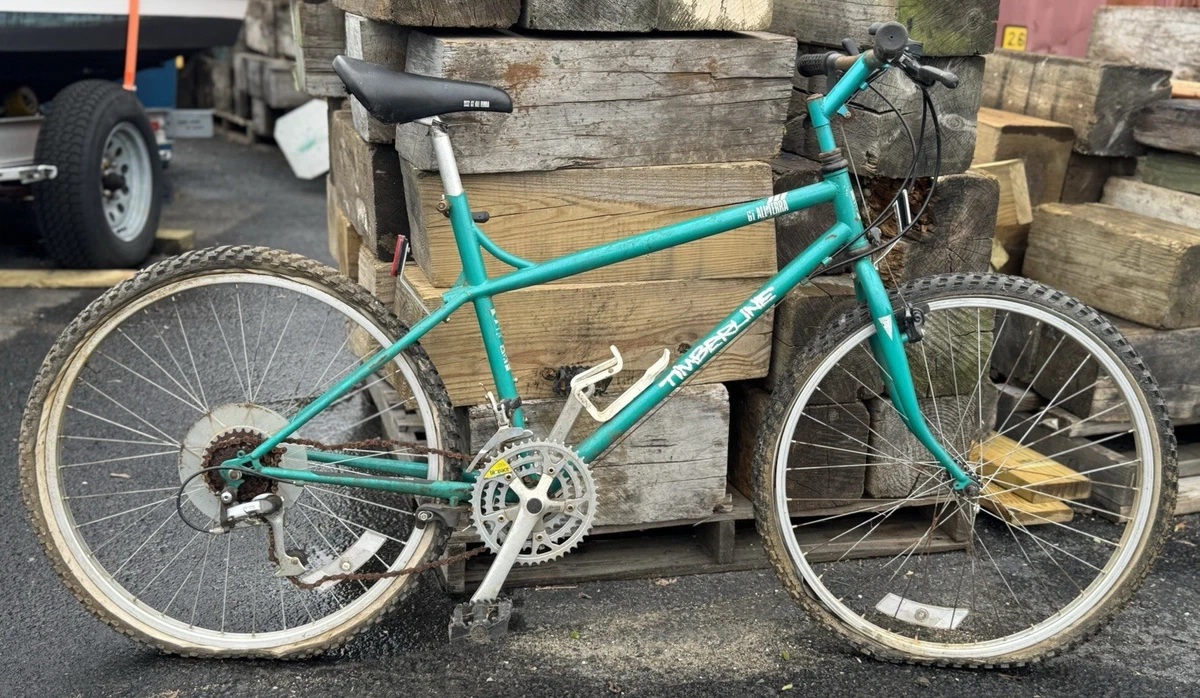 Steel Frame Men's Mountain Bike Vintage Bikes for sale | eBay