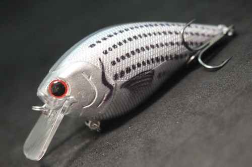 Señuelos de pesca Squarebill crankbait 3 1/4 pulgadas 2/3 oz pesca de lubina poco profunda C429 - Imagen 41 de 111