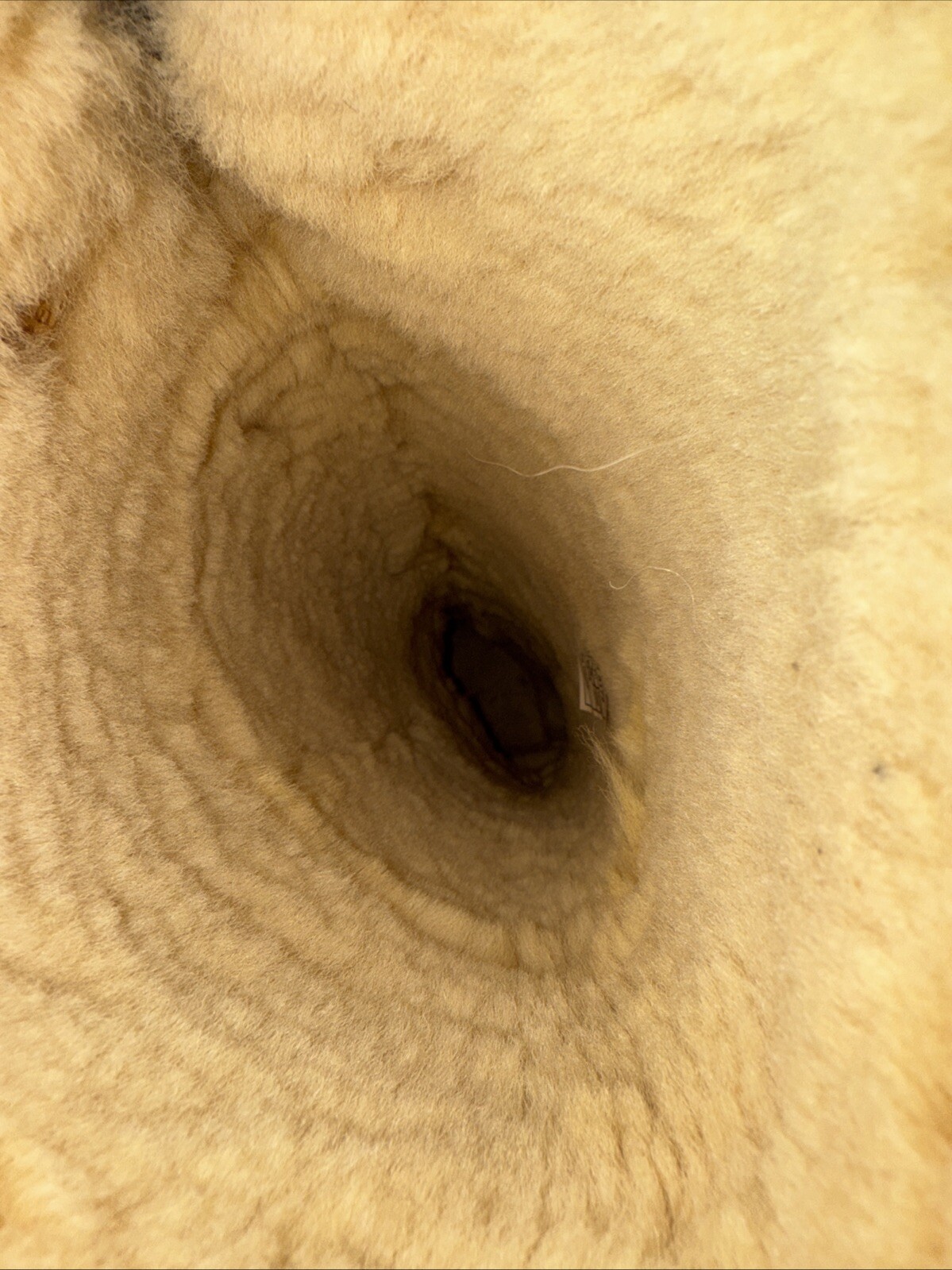 Picture 13 of 15