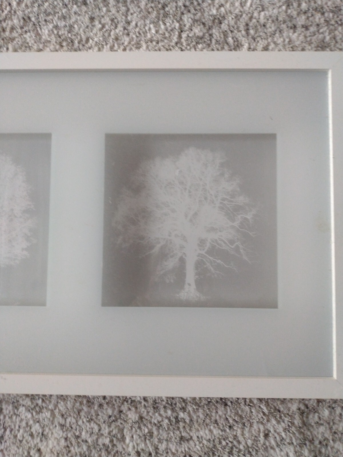 Bild 2 von 5