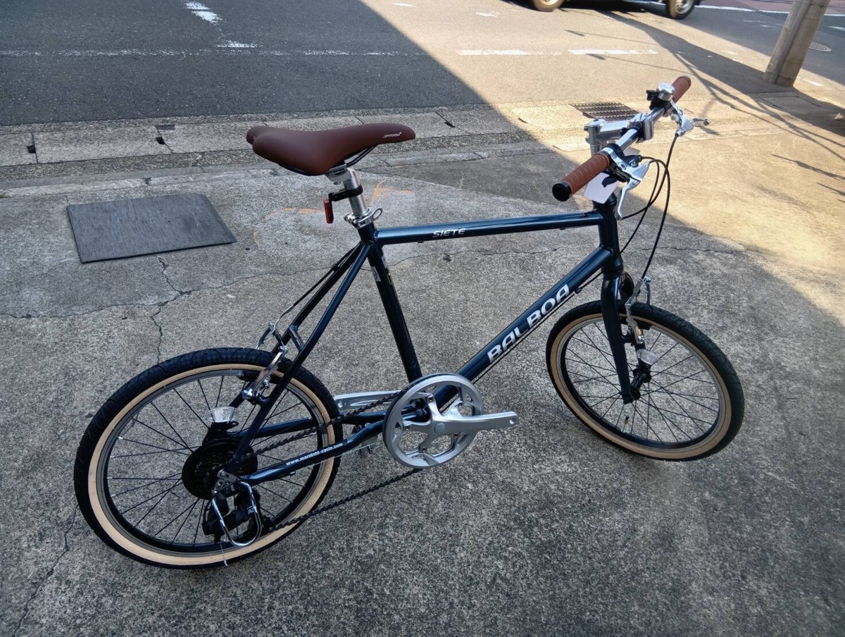 自転車本体 Forks mini-velo Mini Velo, Ash Blue | tokyobike